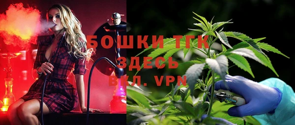 стафф Щучье