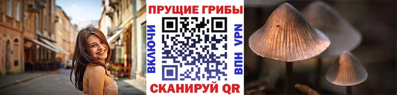 Псилоцибиновые грибы Magic Shrooms  Рубцовск 